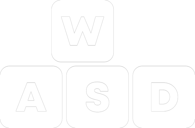 W A S D keys